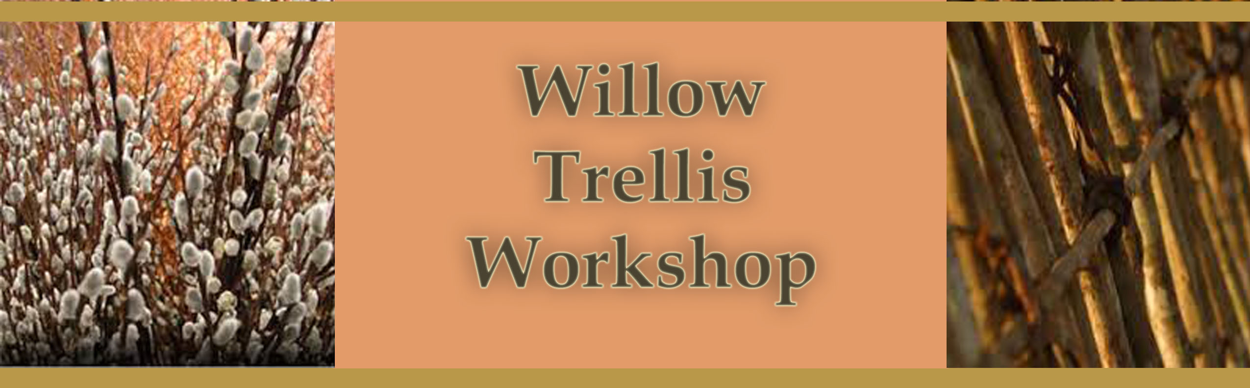 Willow Trellis Workshop